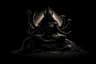 Goddess Durga